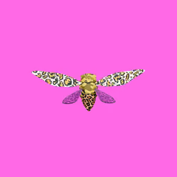 Cicadas #9937