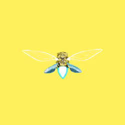 Cicadas #23