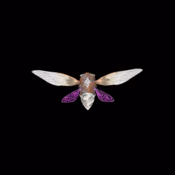 Cicadas #9138