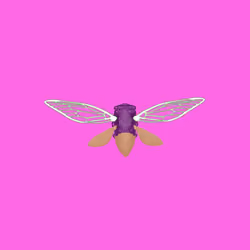 Cicadas #9104