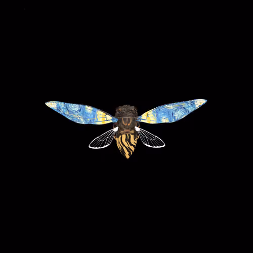 Cicadas #9069