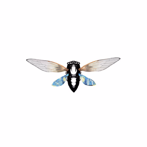 Cicadaspuzzleclub