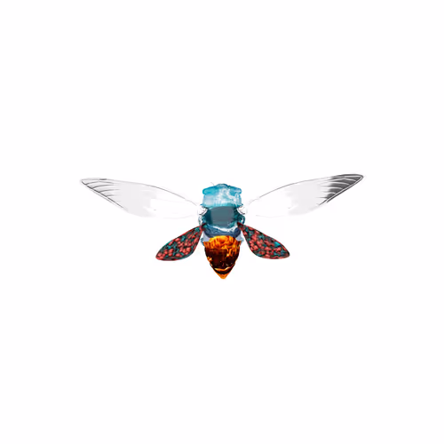 Cicadaspuzzleclub