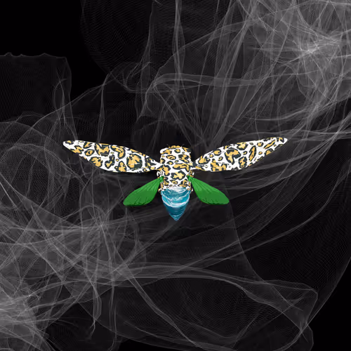 Cicadaspuzzleclub