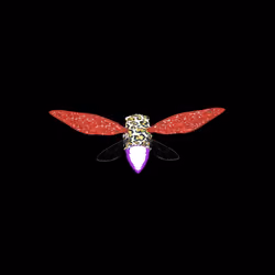 Cicadas #578