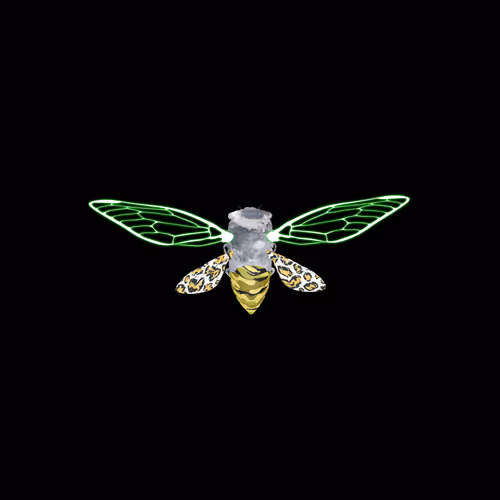 Cicadaspuzzleclub