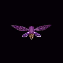 Cicadas #900