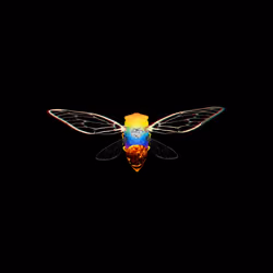 Cicadas #451