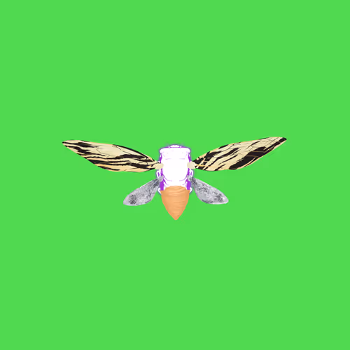 Cicadaspuzzleclub