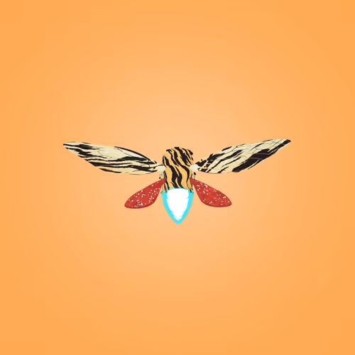 Cicadaspuzzleclub