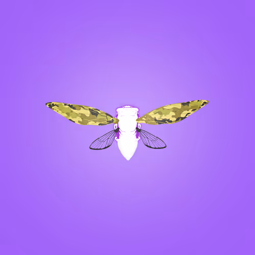 Cicadaspuzzleclub