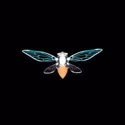 Cicadas #8864