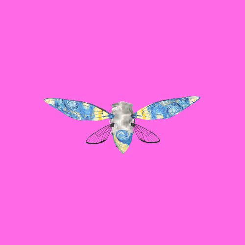 Cicadaspuzzleclub