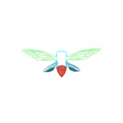 Cicadas #9073