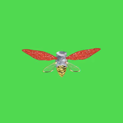 Cicadas #9506
