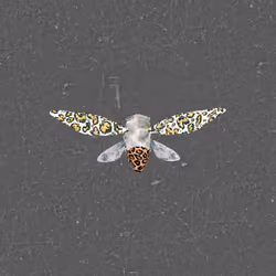 Cicadas #9939