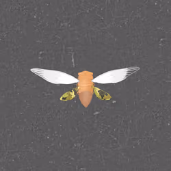 Cicadas #358