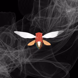 Cicadas #8489