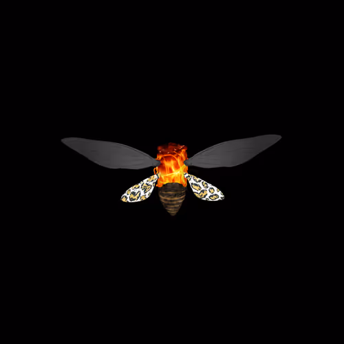 Cicadaspuzzleclub