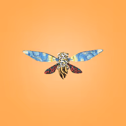 Cicadas #278