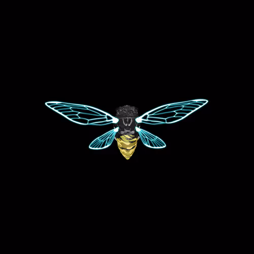 Cicadaspuzzleclub