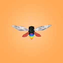 Cicadas #9339
