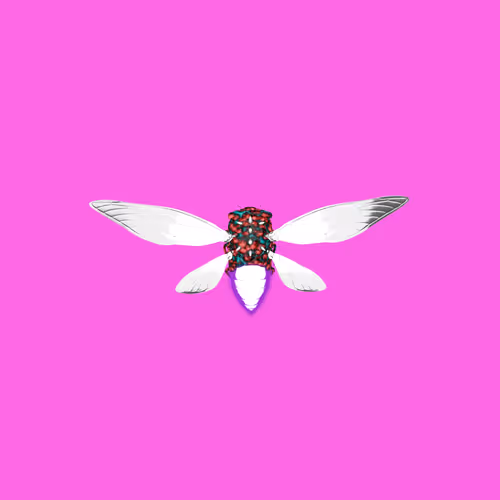 Cicadaspuzzleclub