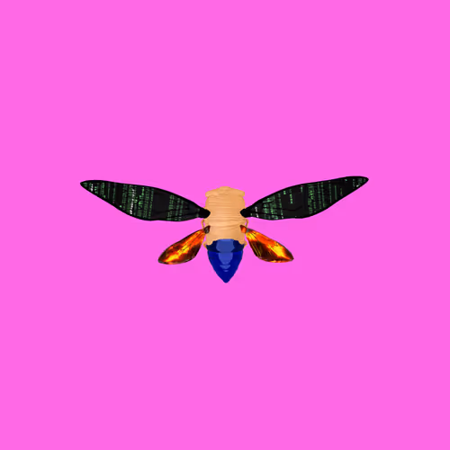 Cicadaspuzzleclub