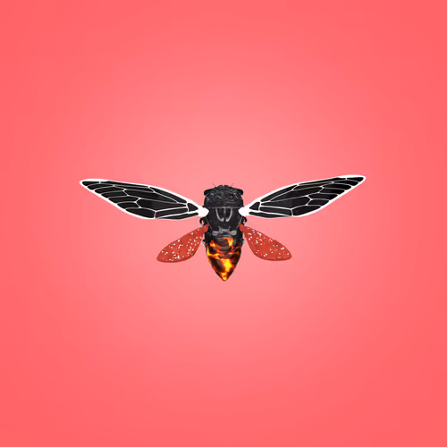Cicadas #107