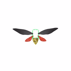 Cicadas #42