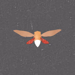 Cicadas #9049