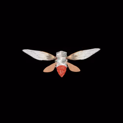 Cicadas #400