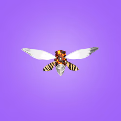 Cicadas #354