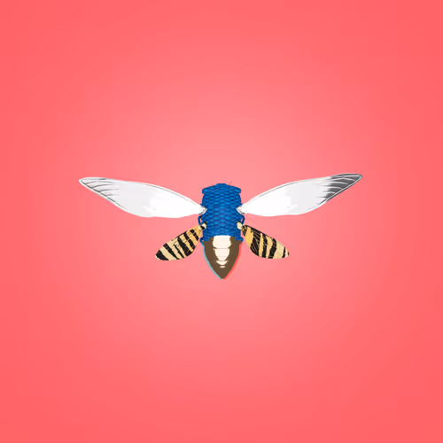 Cicadaspuzzleclub