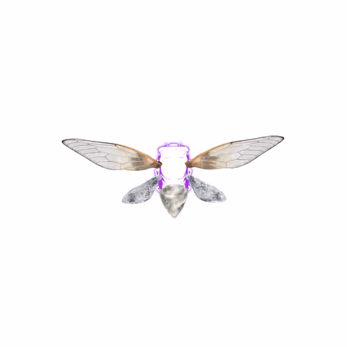Cicadas #486