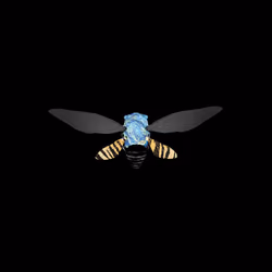 Cicadas #517