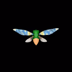 Cicadas #8859