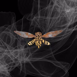 Cicadas #9417