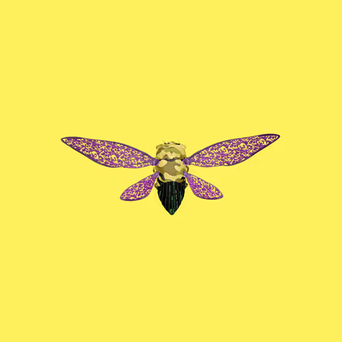 Cicadaspuzzleclub