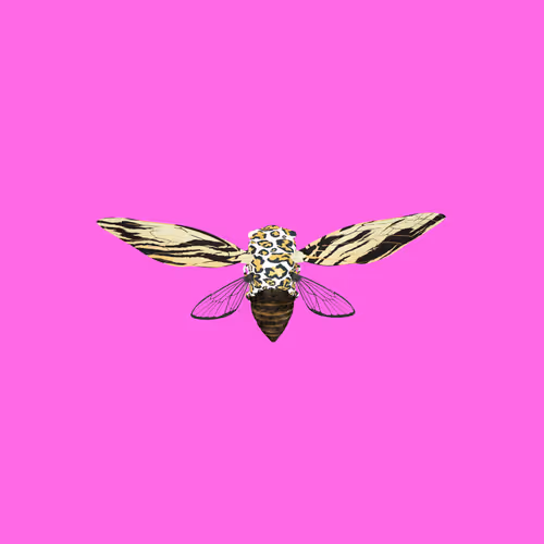 Cicadas #9588