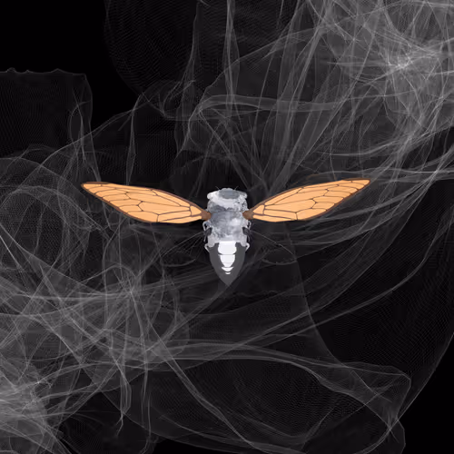 Cicadas #9133