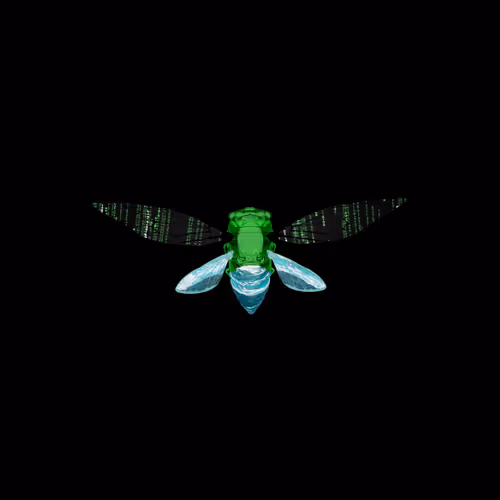Cicadaspuzzleclub