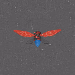 Cicadas #9899