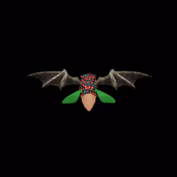 Cicadas #9601