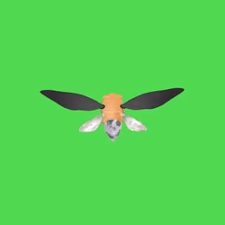 Cicadas #450