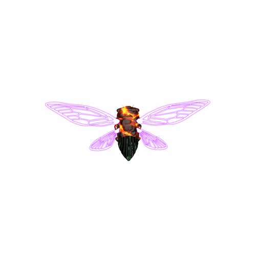 Cicadaspuzzleclub