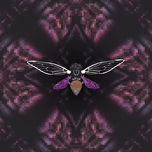 Cicadas #521