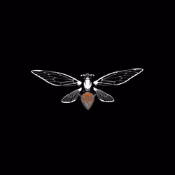Cicadas #396