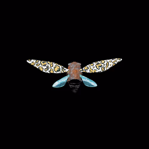 Cicadaspuzzleclub