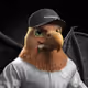 585